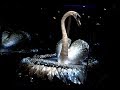 The Silver Swan - automaton