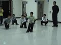 形意Bagua