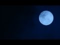 Claude Debussy - Clair de Lune [HD]