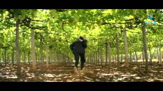 Muddula Menalludu Movie - Balakrishna Comedy Scene