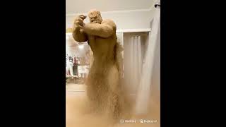 Spiderman Vs Sandman