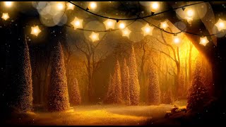 Christmas Songs 2025 Merry Christmas Best Christmas Music Playlist 2025