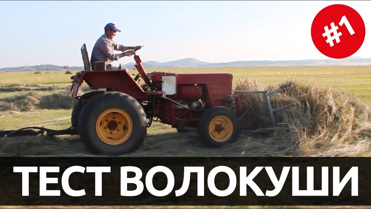Как научиться бросать мяч в корзину изображения Как научиться бросать мяч в корзину изоражения