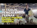 Banyak yg Bangkrut, Bagaimana Ternak Ayam Broiler Bisa Untung ⁉️🐔🐔🐔