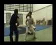 Jackie chan Gorgeous by Tim and Kazu Part 2/2