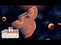 Bear Facts Rap | We Bare Bears | Cartoon Network