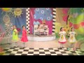 მზესუმზირა 15. 12. 2014 მზესუმზირა 15. 12. 2014