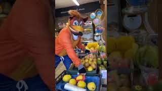 Crash Bandicoot In Real Life