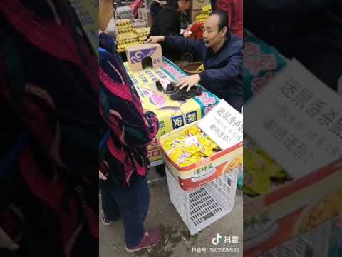 Những họa sĩ nổi tiếng trên tiktok
