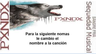 Video Sequedad Musical PXNDX