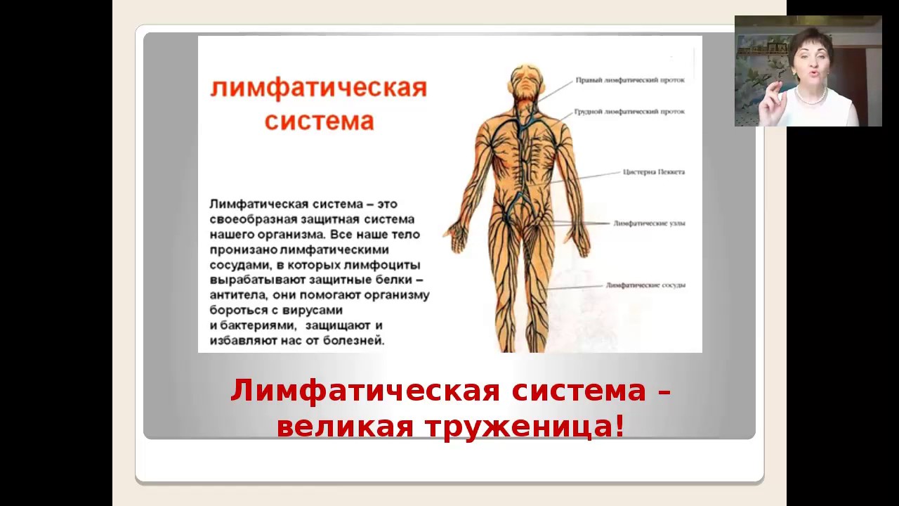 Заболевания связанные с лимфой Заболевания связанные с лимфой
