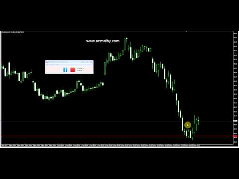 Sydney forex exchange lakemba