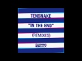 Tensnake - Holding Back My Love (Pete Herbert & Dicky Trisco Extended Version)