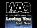 view Loving You (feat. WAG011)