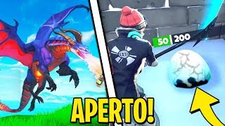 HO FINALMENTE APERTO le UOVA di DRAGO su FORTNITE!