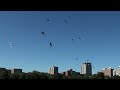 The Mega Fly of Blue Moon Kites at the Don Jacobs Toyota Frank Mots Int'l Kite Festival