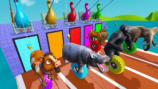 Long Slide Game With Elephant Gorilla Buffalo Hippopotamus Tiger 3D Animal Game Funny 3D Animals