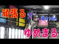ゆめまるの運動って面白くね?何させたら一番面白いんだろう!