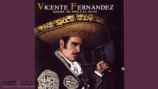 Watch Vicente Fernandez La Costumbre video