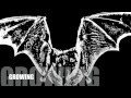 Skull Incision - Endoparasit [Album Lyric Video]