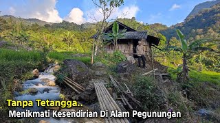 Kaget.. Jumpa Seorang Kakek Di Puncak Gunung Tinggal Sendiri Di Gubuk Kecil Di Kelilingi Hutan