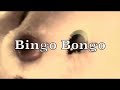 Philipp Mann - Bingo Bongo