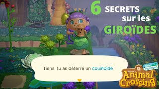 6 Secrets A Absolument Savoir Sur Les Giroïdes Animal Crossing New Horizons