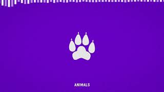 Watch Chris Webby Animals video