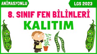 Kalıtım 8. Sınıf Bilimleri Lgs 2022