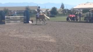 Sunny Emily Training At Rebecca 2014