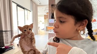 Jai Lavé La Pee Mimi