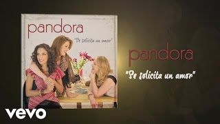 Video Se Solicita un Amor Pandora