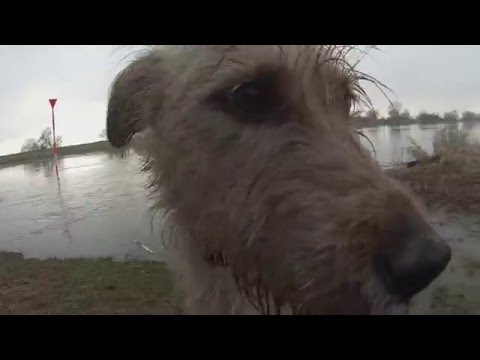 Stillbruch Video