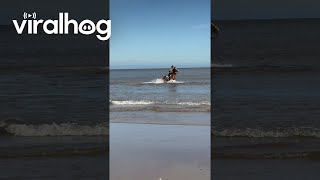 Horse Leaps Through Beachside Waves || Viralhog