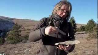 FABRICE BONY - LITHOPHONES - Parcours de Pierres