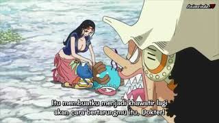 Chopper Robin Momen Lucu Fishman Island