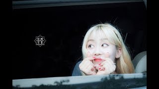 Cover Star 별 - Berry Good 베리굿 Daye