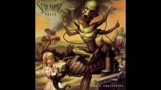 Watch Screaming Trees Uncle Anesthesia video