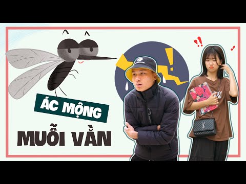 ÁC MỘNG MUỖI VẰN | Đại Học Du Ký Phần 164 | Phim Ngắn Siêu Hài Hước Sinh Viên Hay Nhất Gãy TV