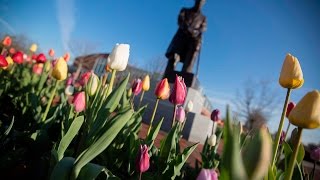 Ohio Northern University 2016 Commencement Livestream