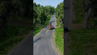 Realistic Highway Car Crashes - Beamng.drive