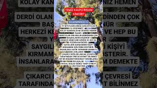 Temi̇z Kalpli̇ İnsan Ki̇mdi̇r?