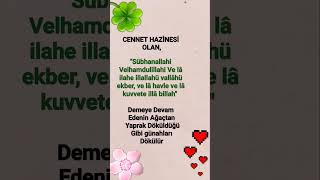 Cennet Hazinesi Olan