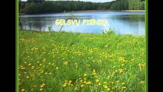 Sveikinimas Su Gimtadieniu, Sveikinimas Draugei