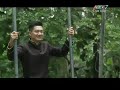 TUYỆT ĐỈNH TRANH TÀI 5 - ĐỨC TUẤN - SA MƯA GIÔNG