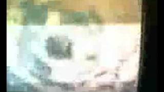 La Chitarra Nella Roccia Trailer