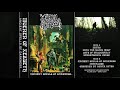 Moenen Of Xezbeth - Ancient Spells of Darkness... (2018)