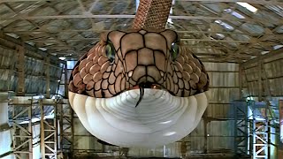 Snake Chaotically Eats Robot Kp