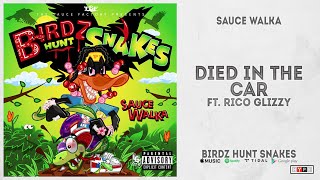 Watch Sauce Walka Died In The Car feat Rico Glizzy video