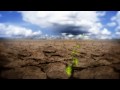 sustainability